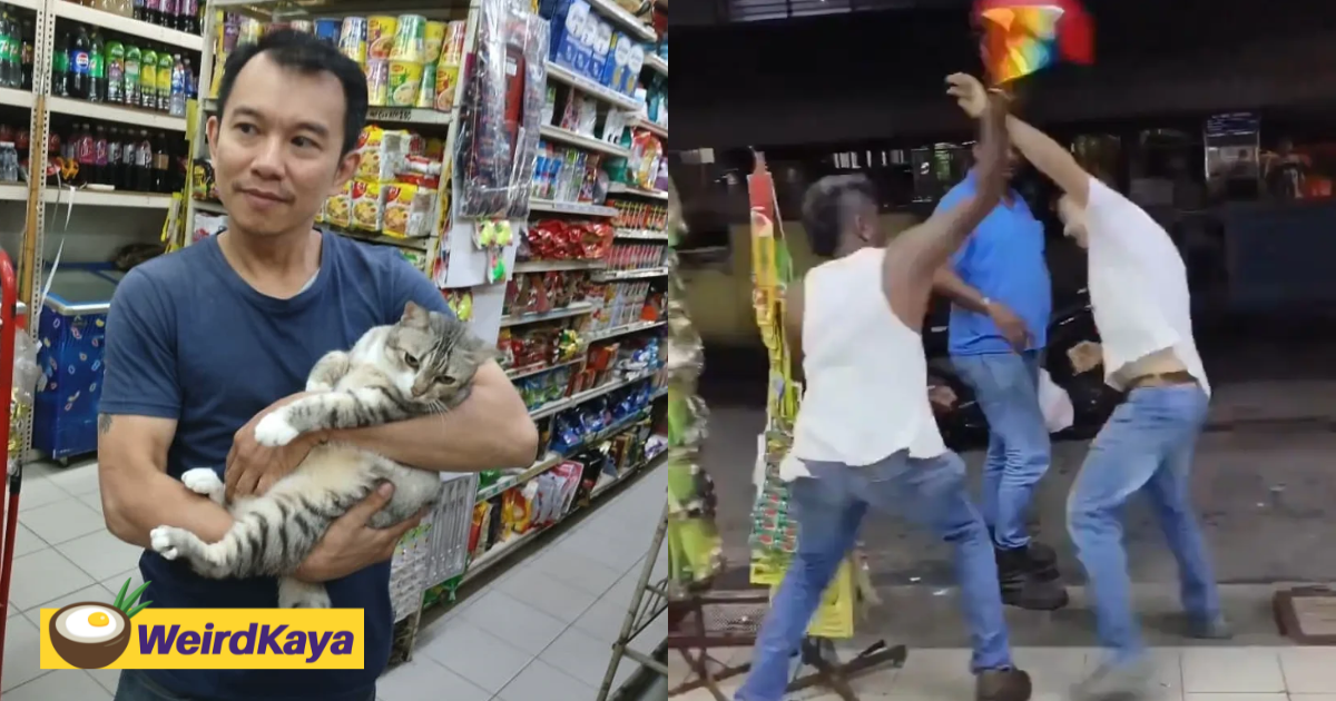 M'sians from all over are coming just to see cat featured in viral penang fight | weirdkaya