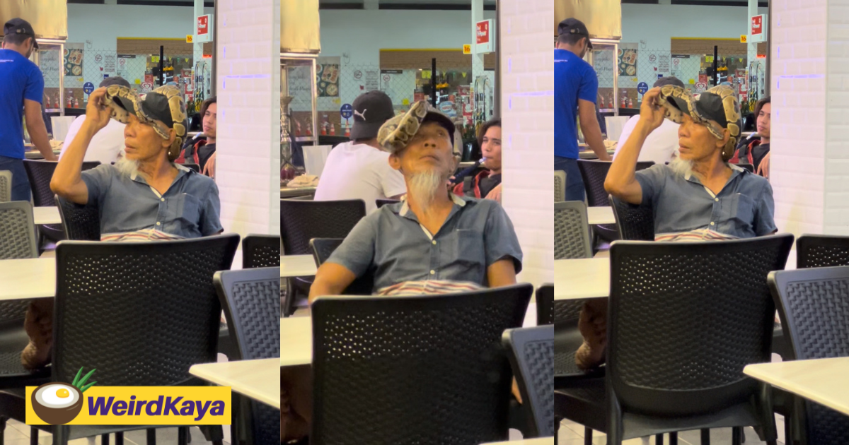 M'sian uncle casually sits with snake on his head leaves netizens in stitches | weirdkaya
