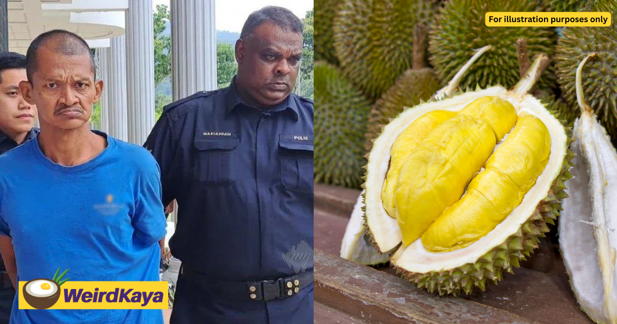 'i was craving for it' — m'sian fisherman admits to stealing durians worth rm200 | weirdkaya