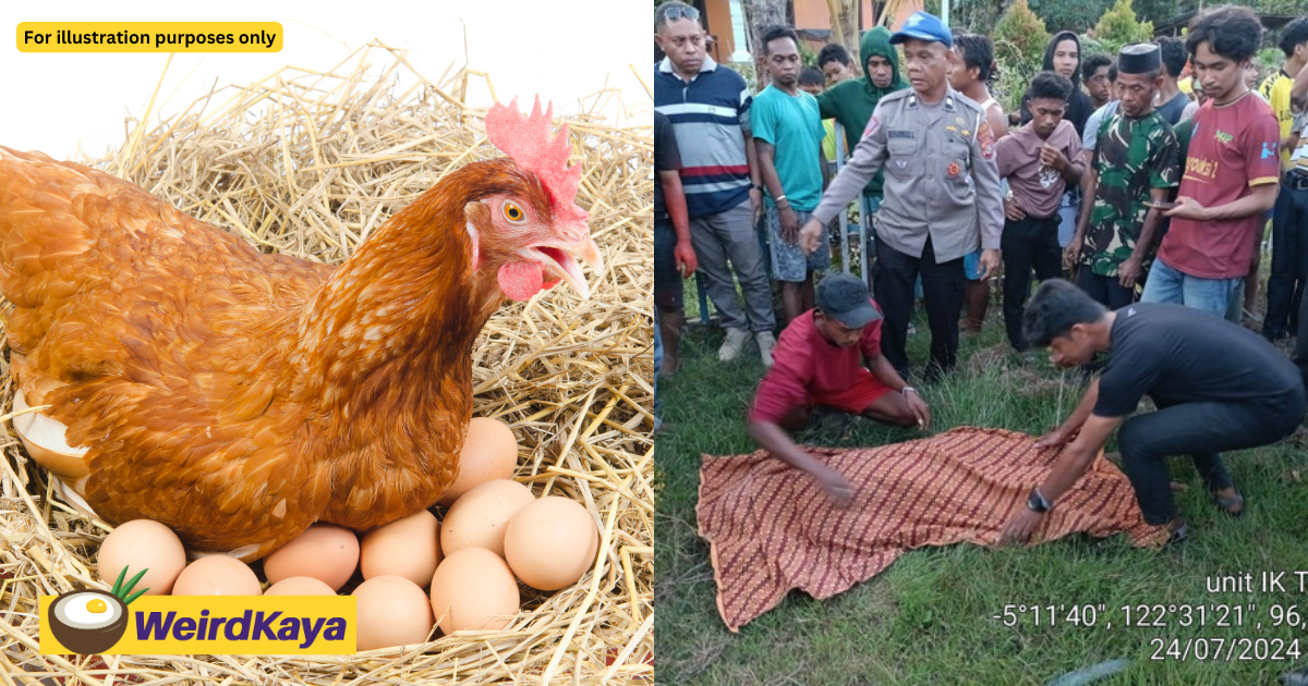 Indonesian Man Stabs Another Man 15 Times Over 'Chicken Or Egg First' Debate