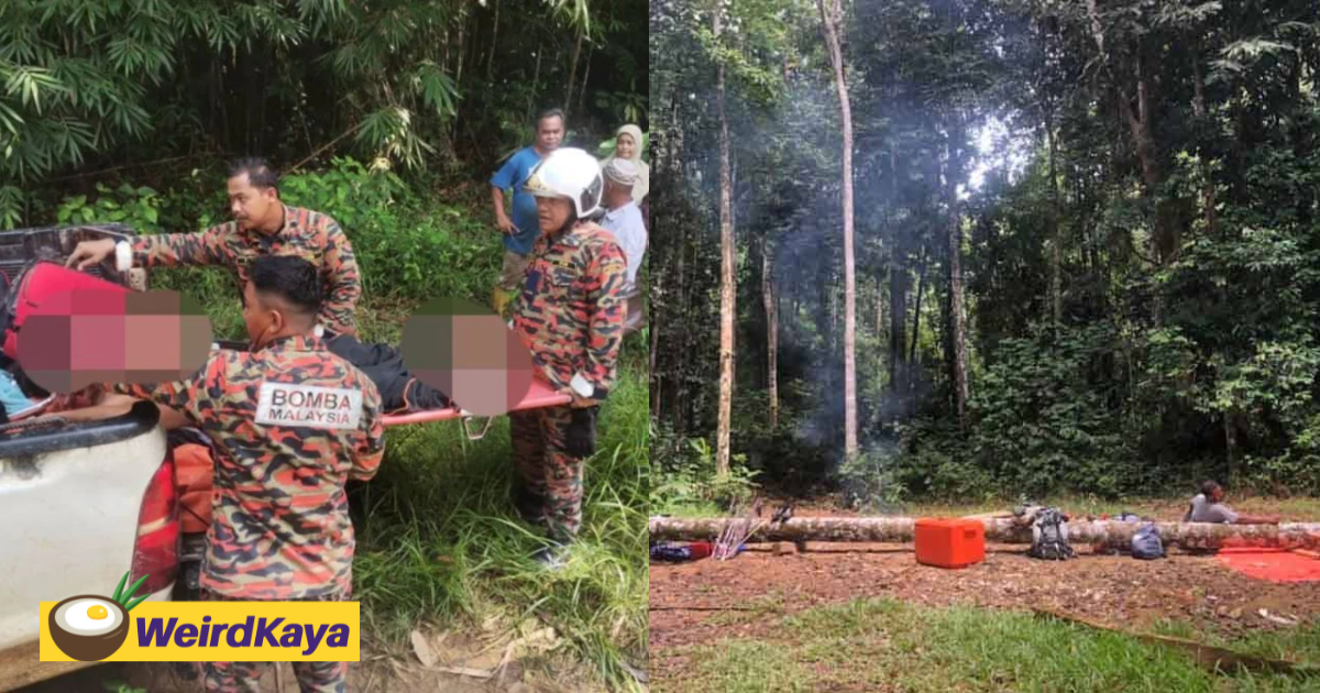 54yo m'sian man crushed by tree while fishing with friends | weirdkaya