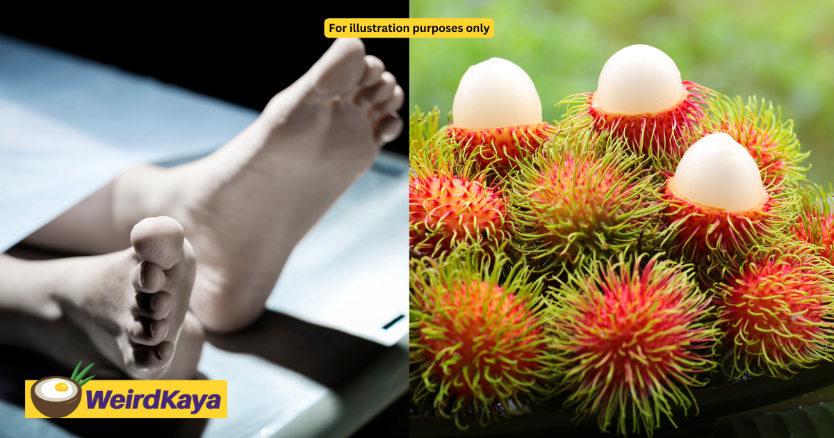 72yo m'sian woman chokes to death on a rambutan | weirdkaya