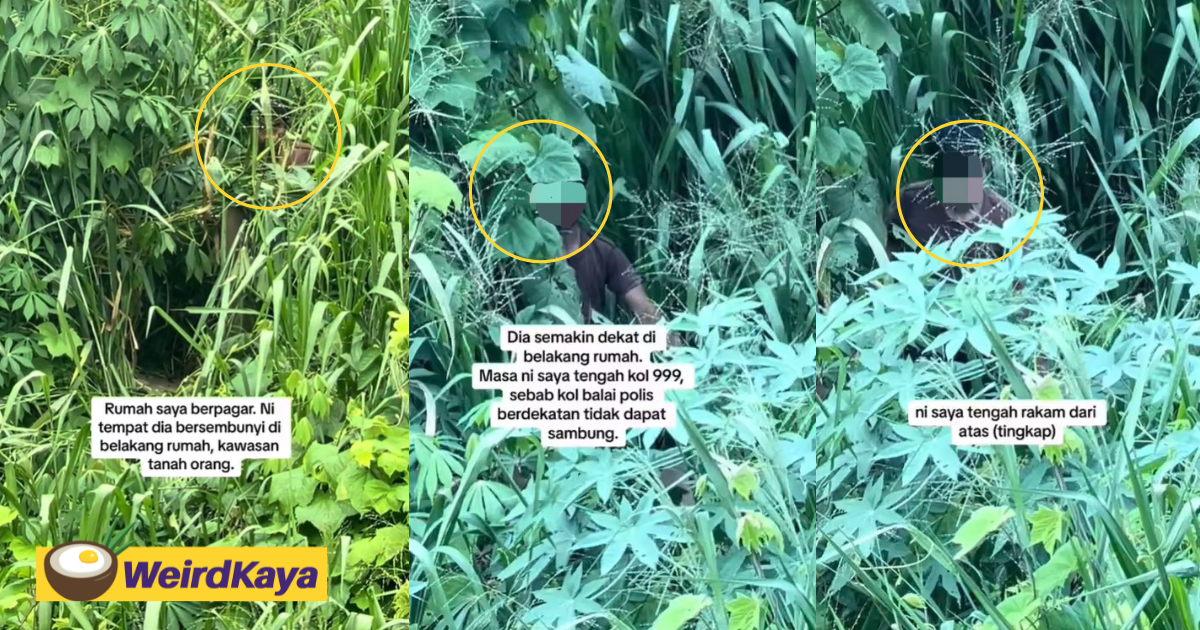 M'sian woman catches man hiding within the bushes & trying to steal her underwear | weirdkaya