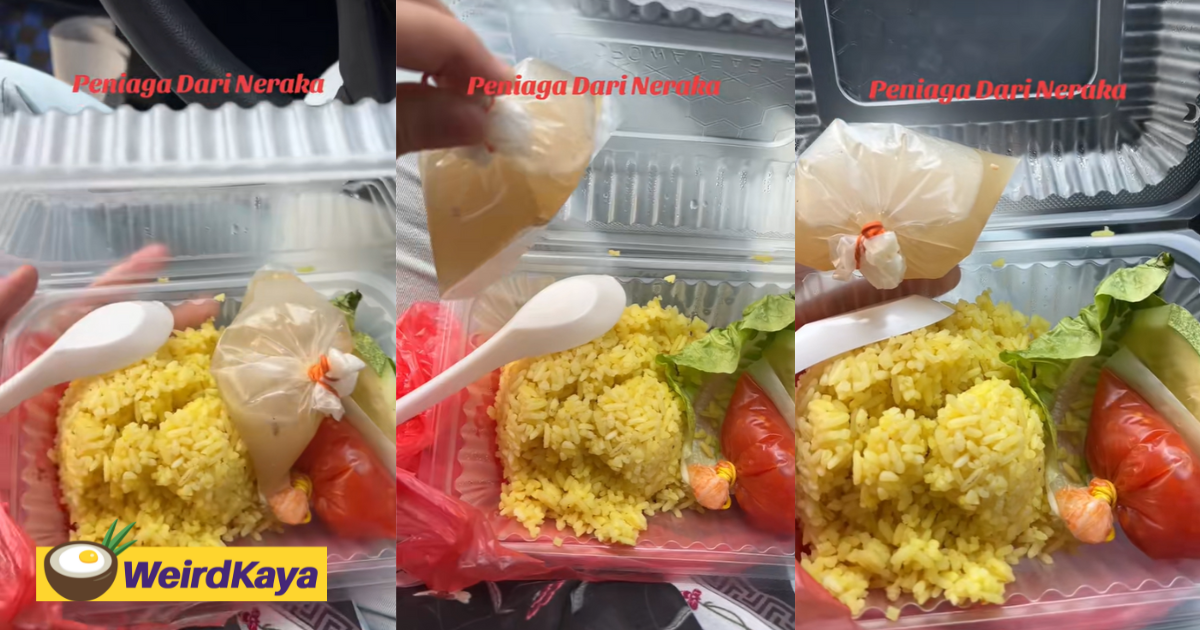 M'sian woman pays rm8 for chicken rice but finds no chicken inside | weirdkaya