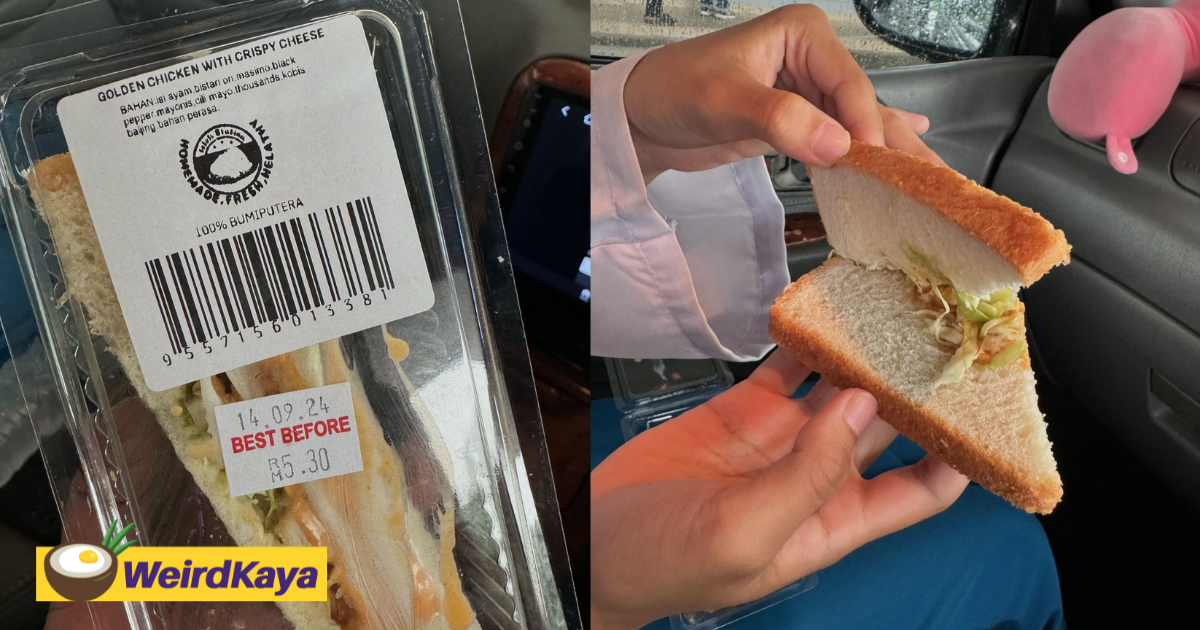 M’sian man stunned by rm5. 30 sandwich that had close to no filling at all | weirdkaya