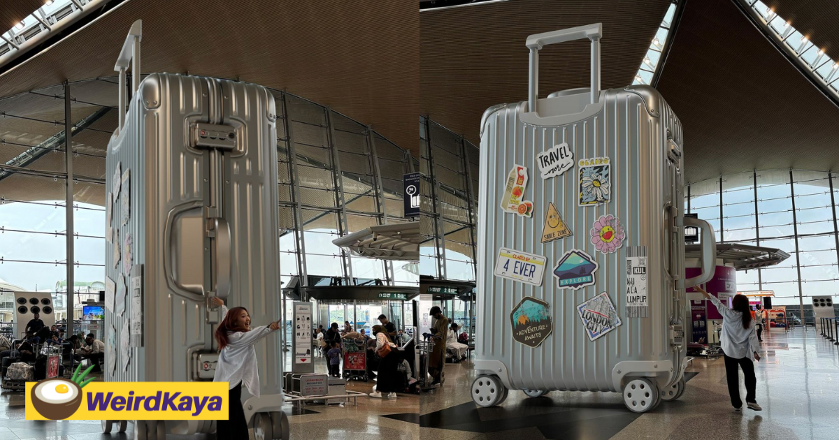 We’ve all seen big luggages at the airport, but this one? You’ll never guess what it’s about | weirdkaya