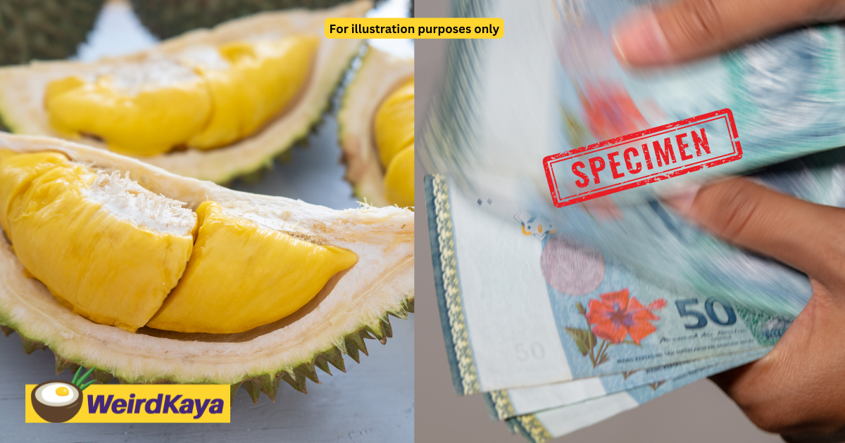 China-based company duped of rm2. 6mil in fake musang king deal | weirdkaya