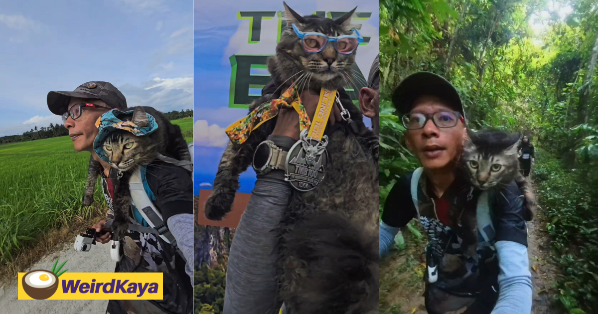 Forget running solo, m'sian man completes 10km trail race with his cat riding on his shoulder | weirdkaya