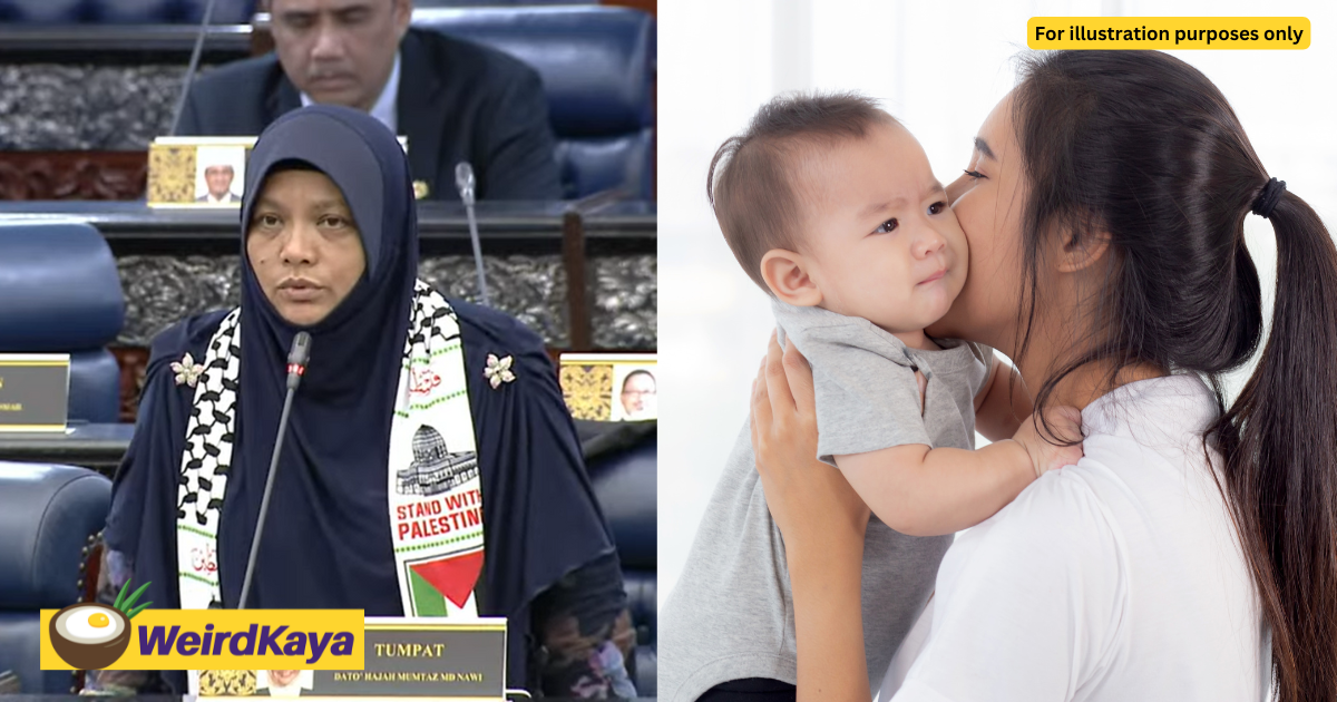 Pas mp suggests award be given to women who help boost birth rate | weirdkaya