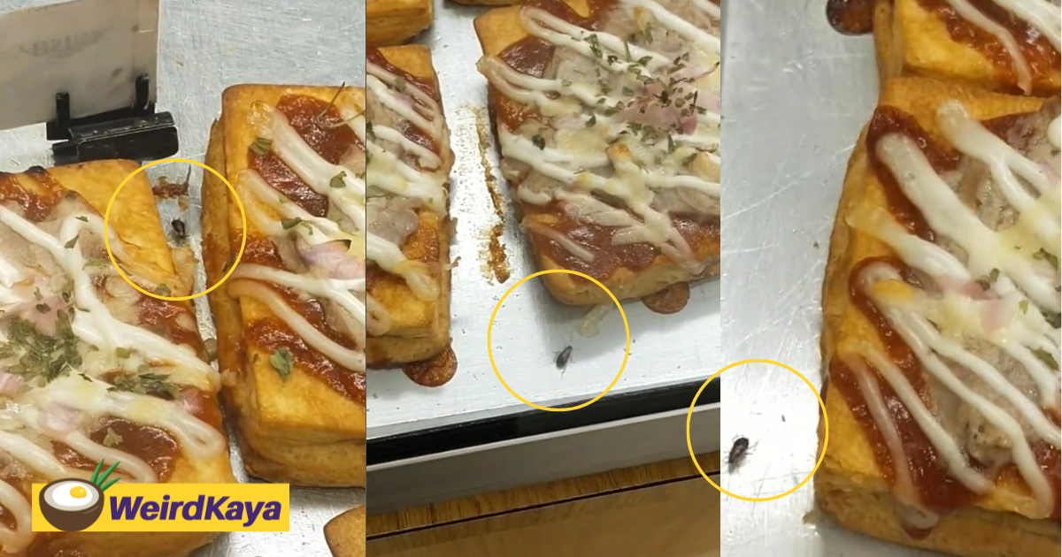 Roach scuttles around pastry at setia alam bakery, disgusts netizens | weirdkaya