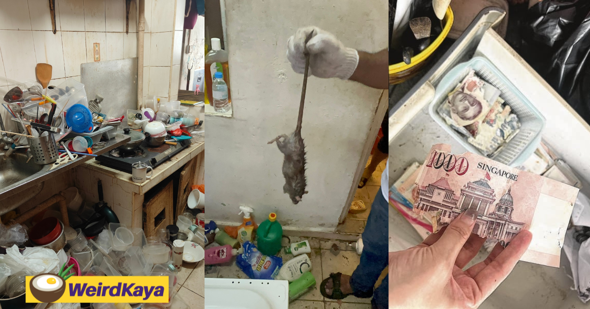 Volunteers find rm3k of cash chewed by rats link preview