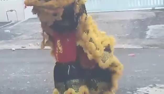 Lion dancers performing