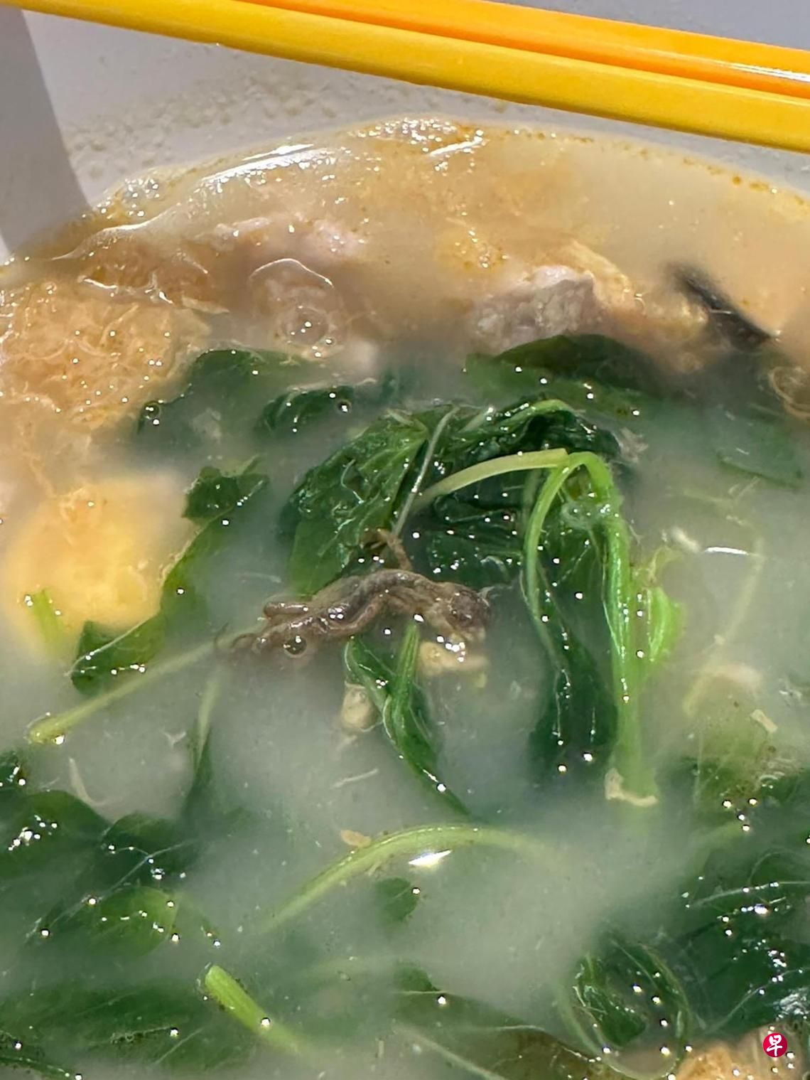Lizard found inside SG woman's spinach soup