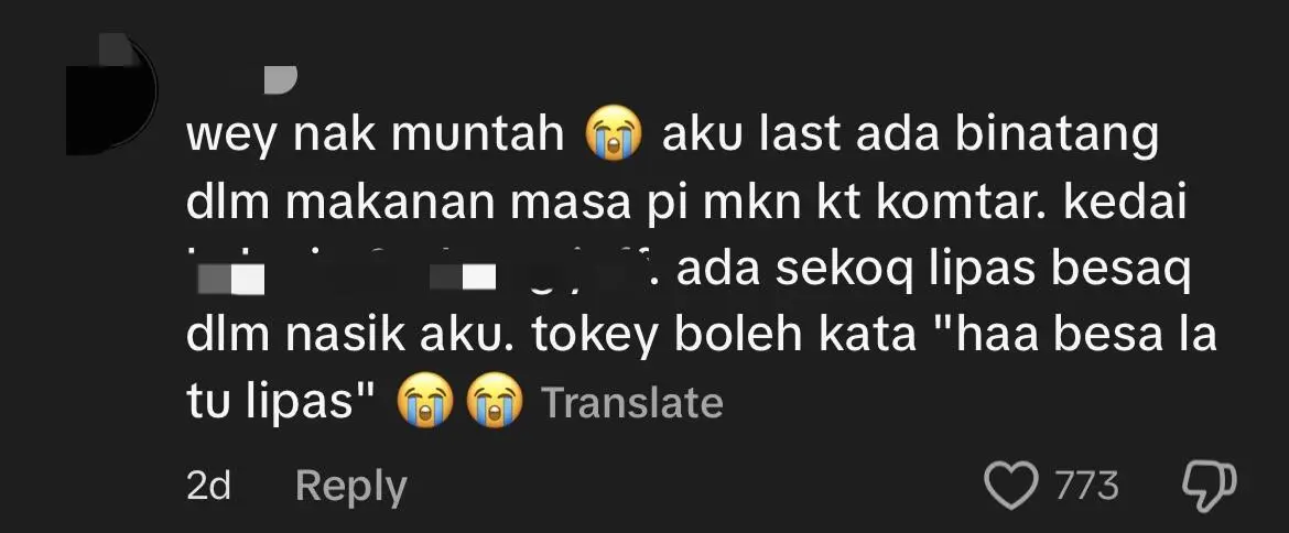 M'sian Woman Disgusted To Find Lizard Inside Her Pisang Goreng Tiramisu comment 2