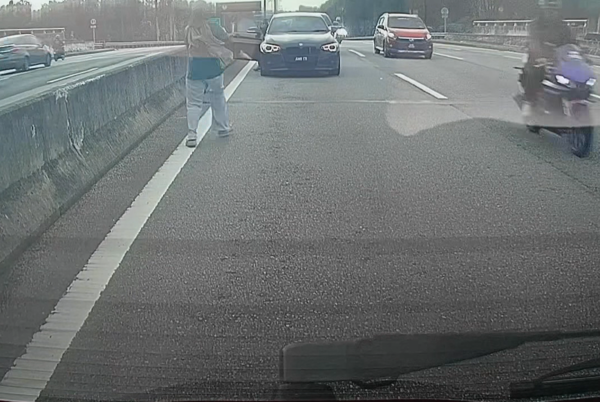 Lost cat along LKSA highway 2