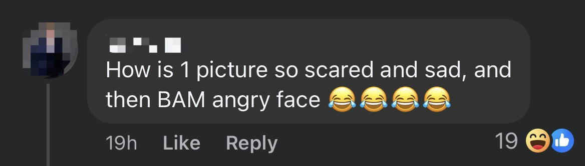 M'sian Woman Saves Lost Cat From Busy Highway, Calls For Netizens' Help In Finding Owner comment 2