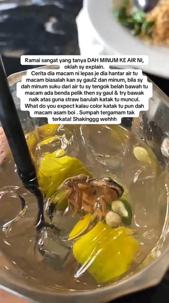 msian finds frog inside drink, restaurant no apology
