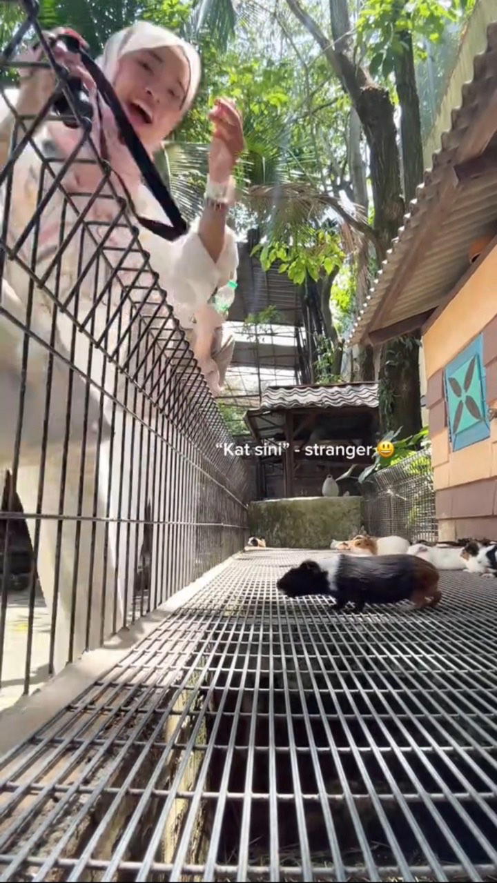 msian woman forgets phone recording stranger