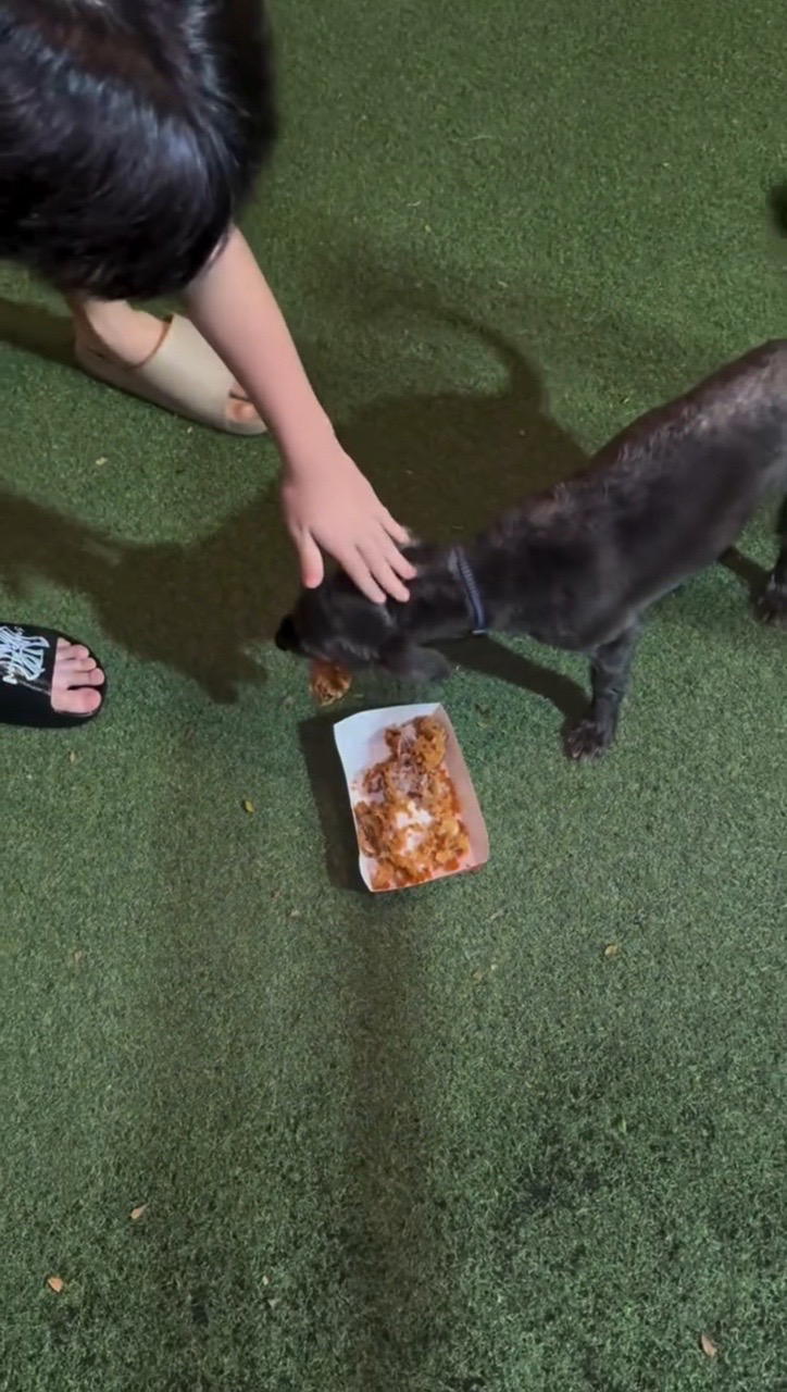 msian creators prank homeless man chicken bones pet dog
