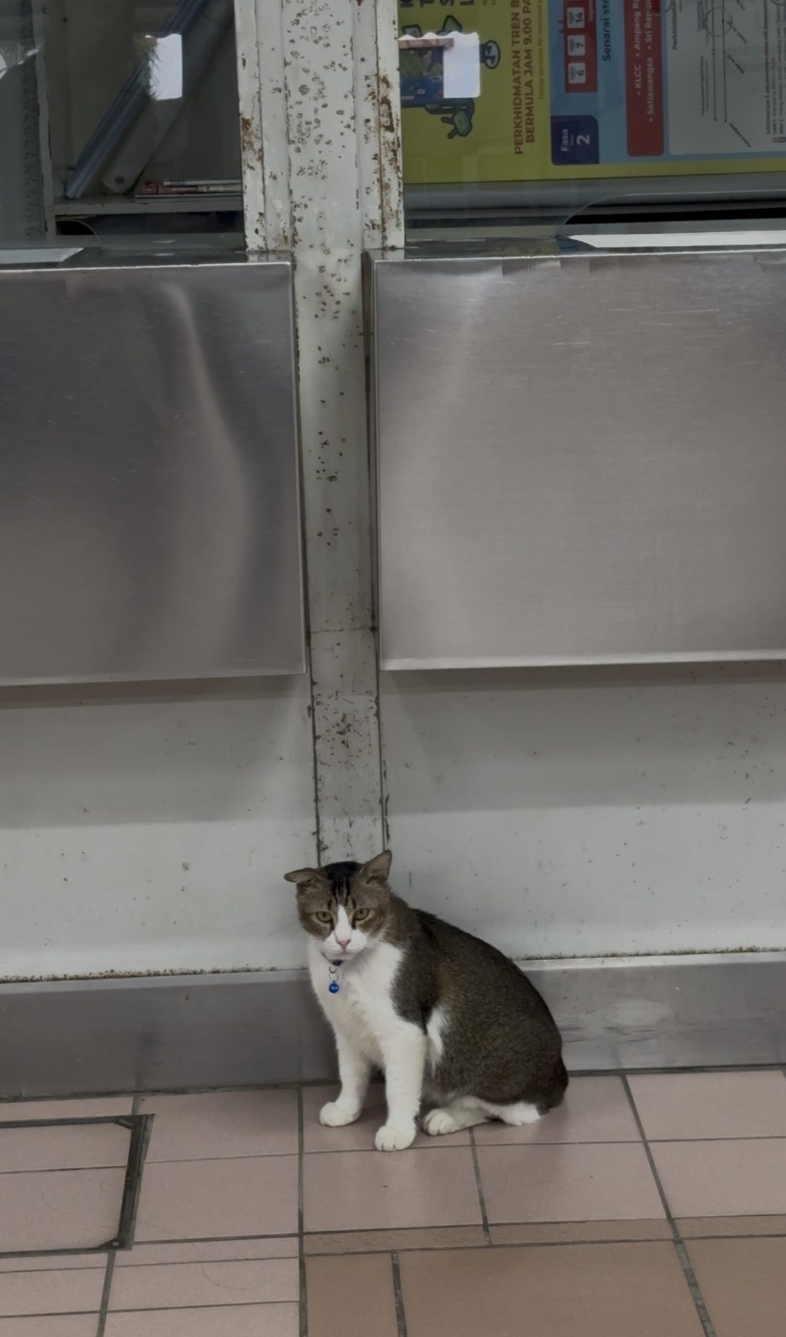 lrt-wangsa-maju-cat.jpg