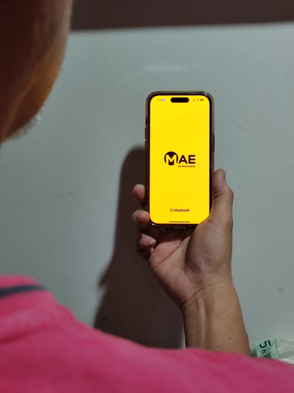 Mae_online payment_brand