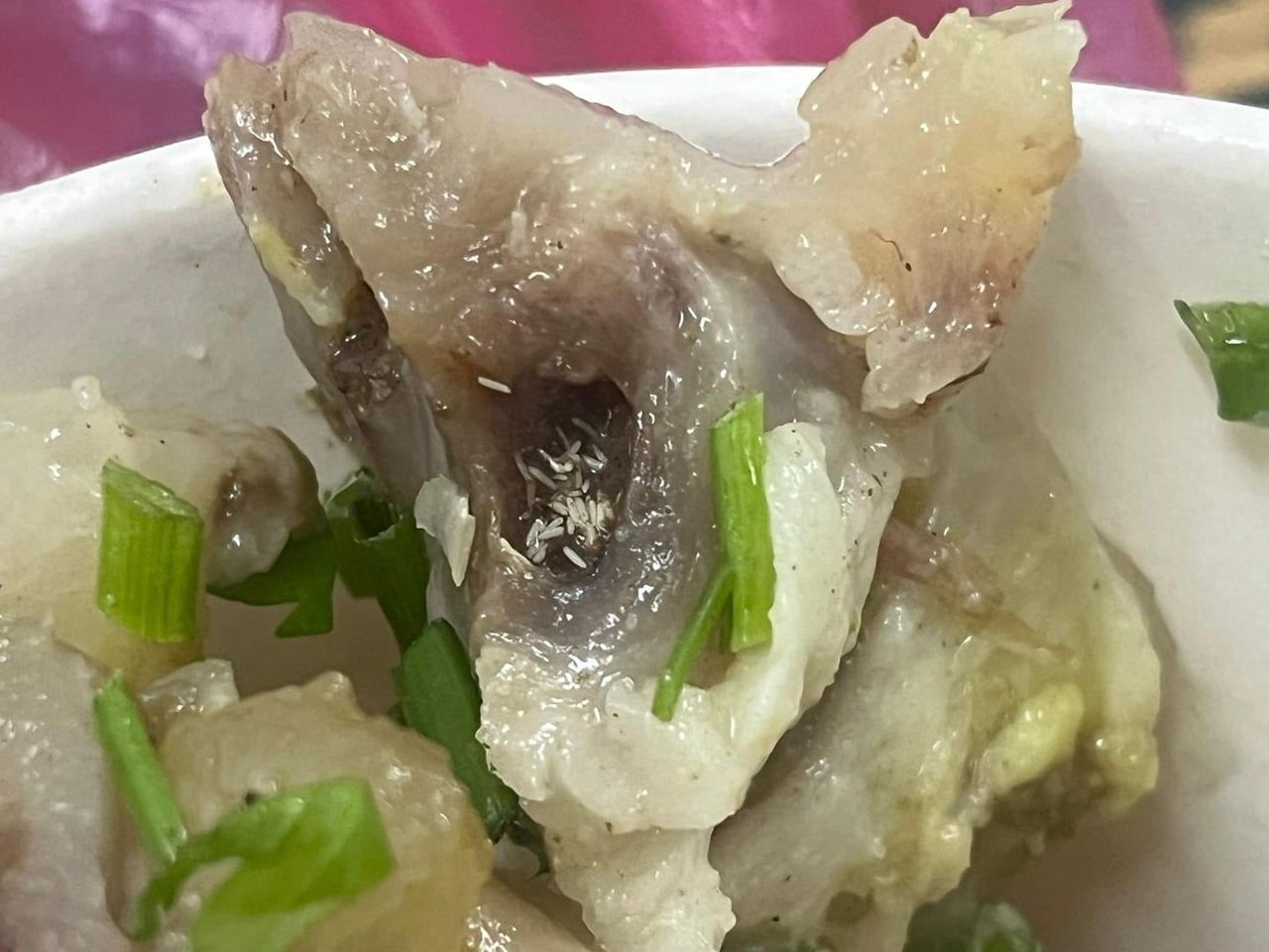 Maggot inside food