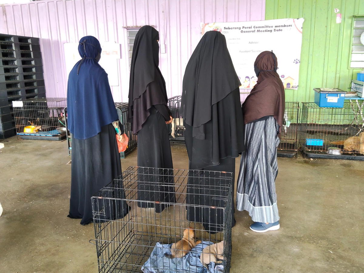 Malay women who rescued and sent puppies to SPCA