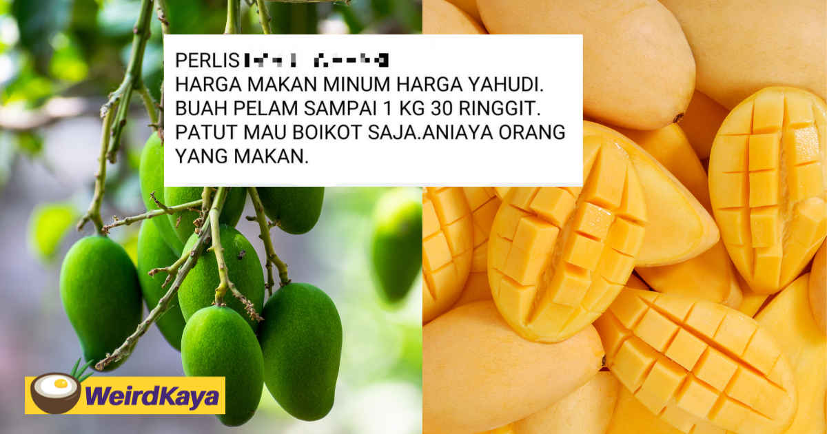 M'sian urges boycott against perlis harumanis mangoes due to high price, gets bashed online instead | weirdkaya