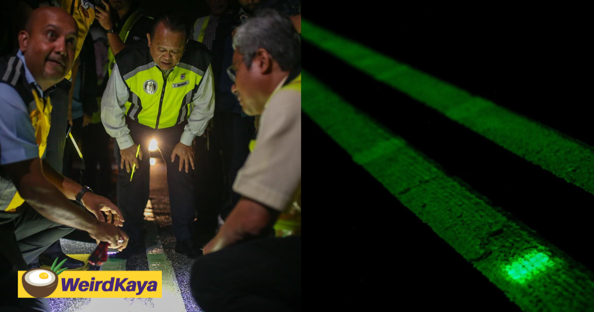 Malaysia's first 'glow-in-the-dark' road makes it debut in selangor  | weirdkaya