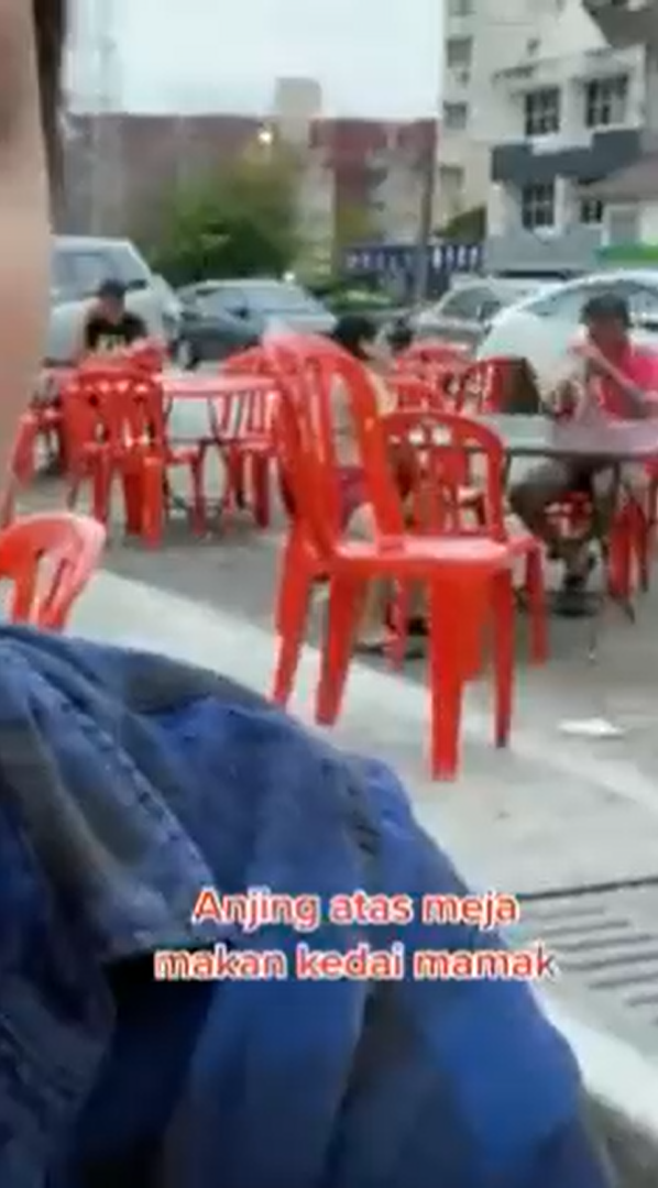M'sian man spotted putting dog on top of table at mamak stall, sparks outrage online