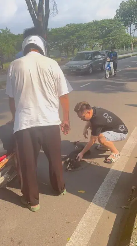 Man checks on injured puppy