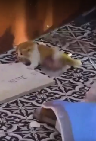 Man crashes into restaurant (1)