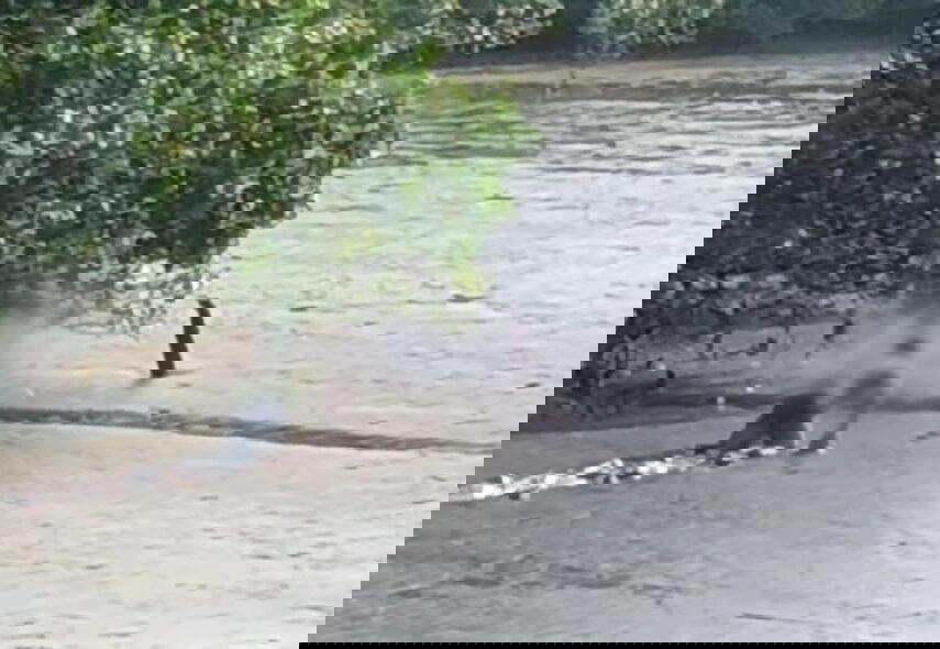 man crawling in mud water at penang