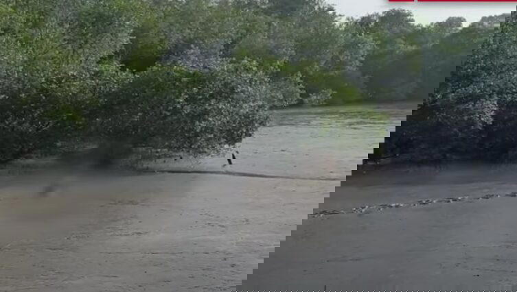 man crawling in mud water