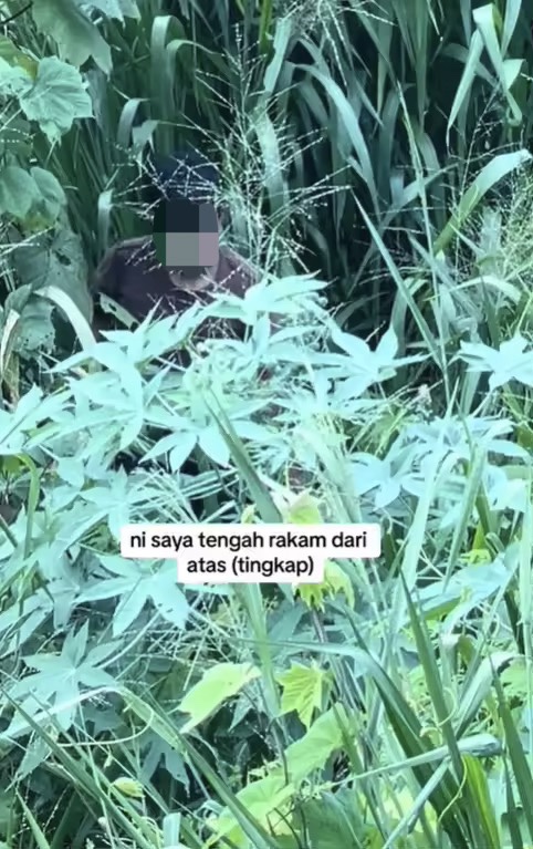 Man hides within the bushes near m'sian woman's home