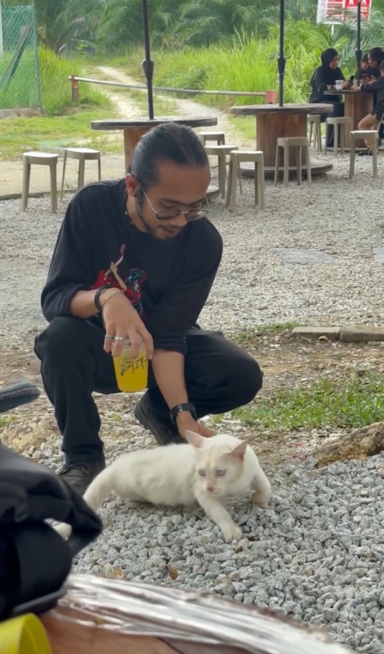 Man petting white cat