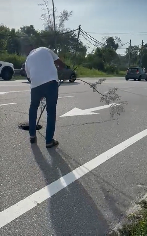 M'sian man puts tree branch inside pothole