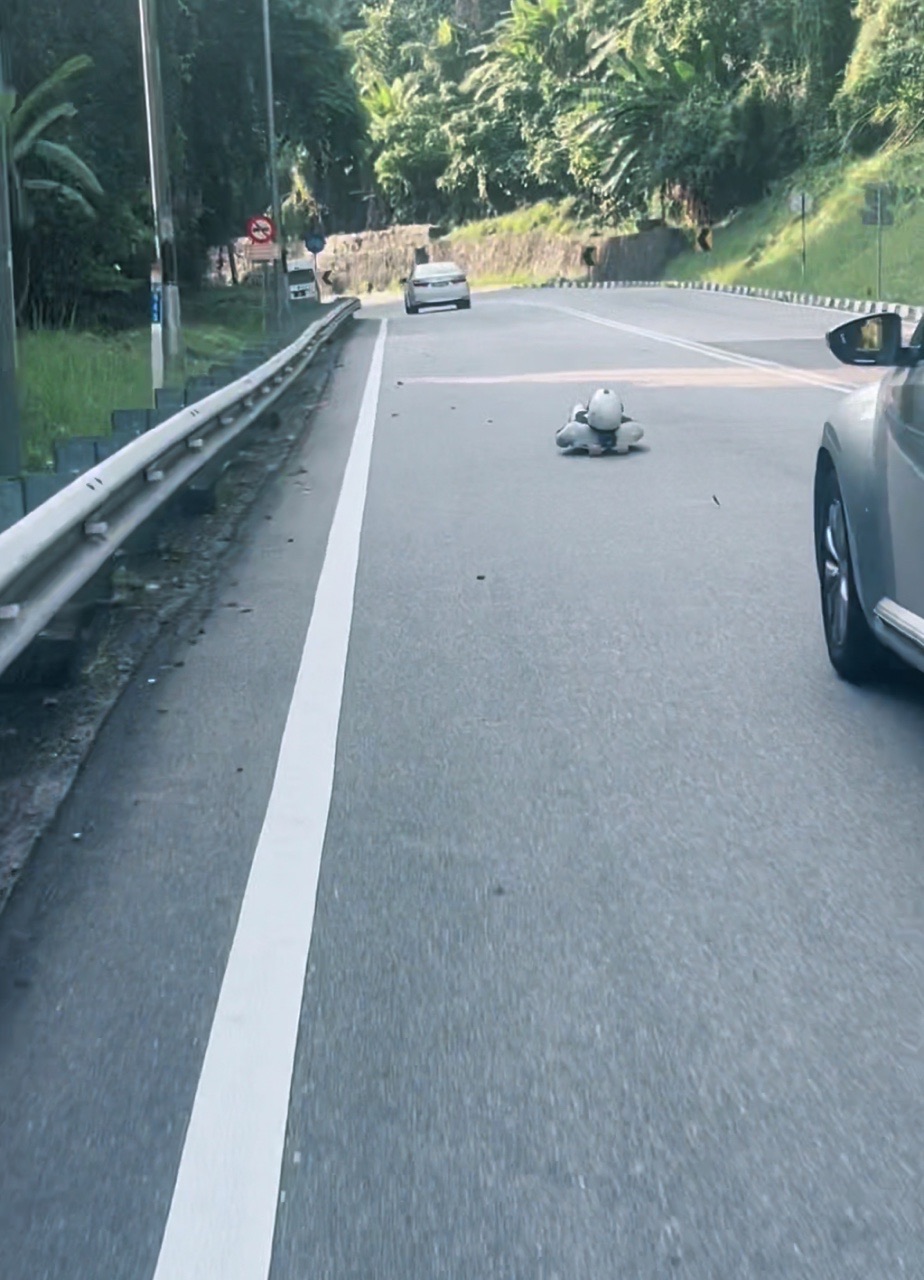 Man riding street luge at penang