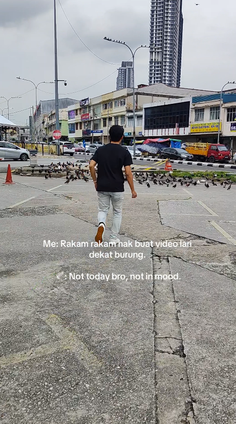 man running towards a bunch of birds