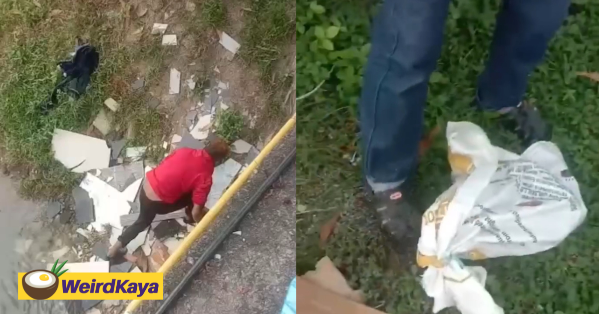 Man spotted in penang dumping sack with cat into drain, police investigating | weirdkaya