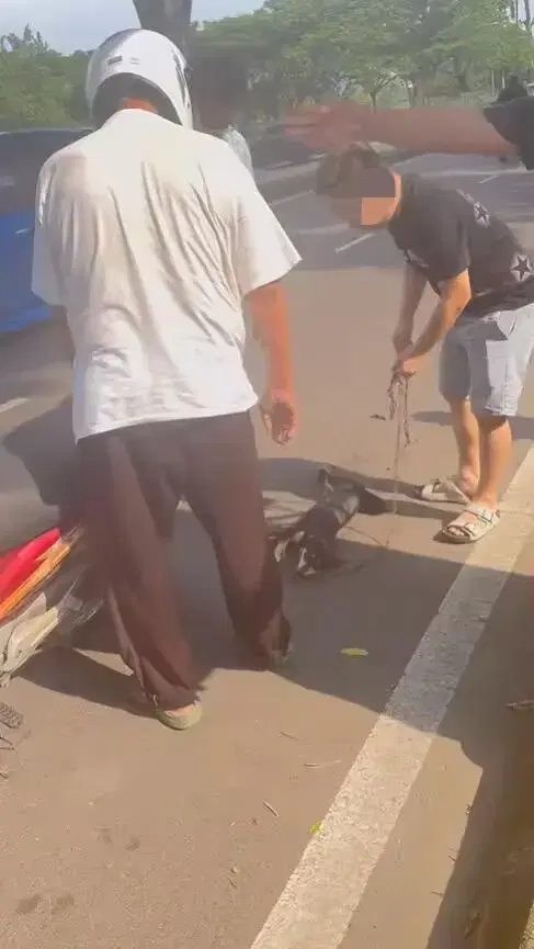 Man stopped by passerby for dragging dog