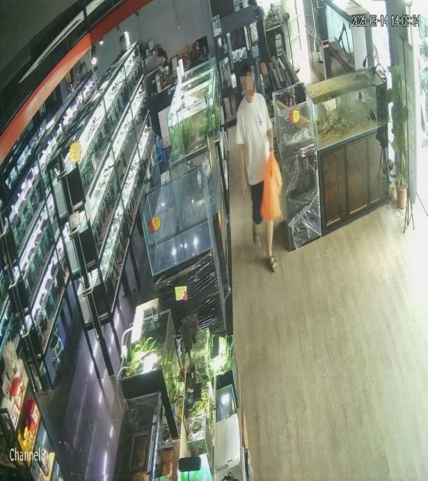 Man walks off after paying RM1.60 for fish