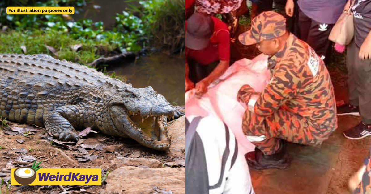 Missing m'sian man found dead without legs, believed to be attacked by crocodile | weirdkaya