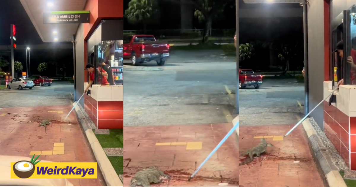 Monitor lizard spotted at fast food drive-thru, m'sians joke that it wanted to make an order | weirdkaya