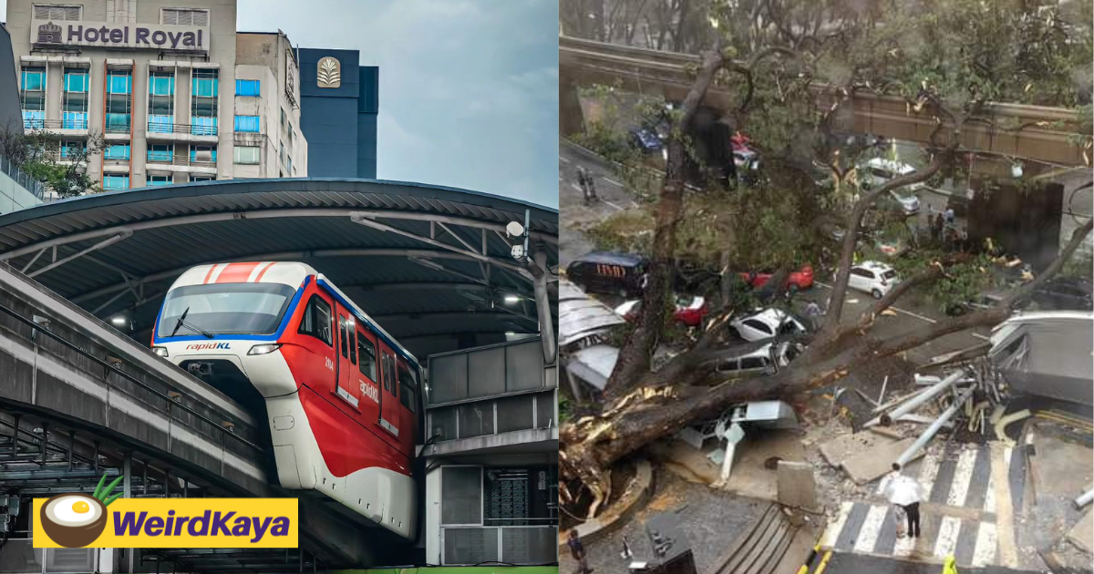 Monorail service in kl resumes today following fallen tree incident | weirdkaya