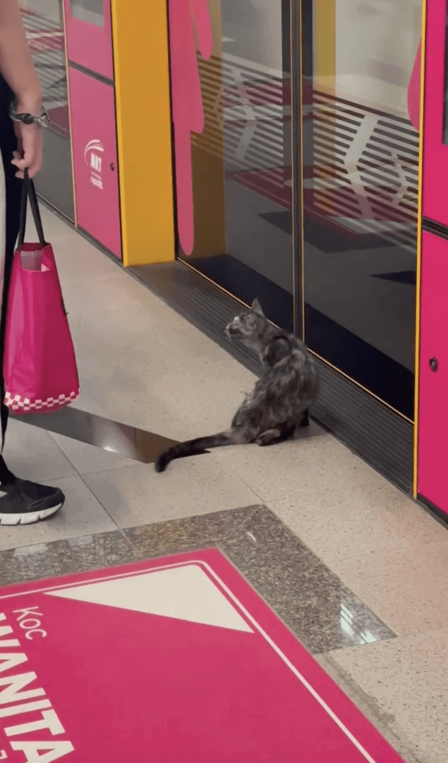 MRT Cat 01