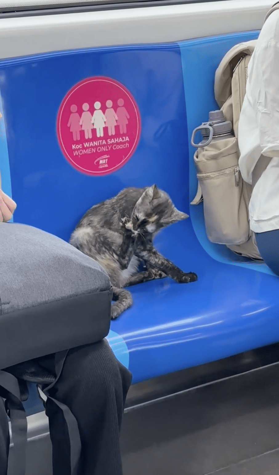 MRT Cat 02