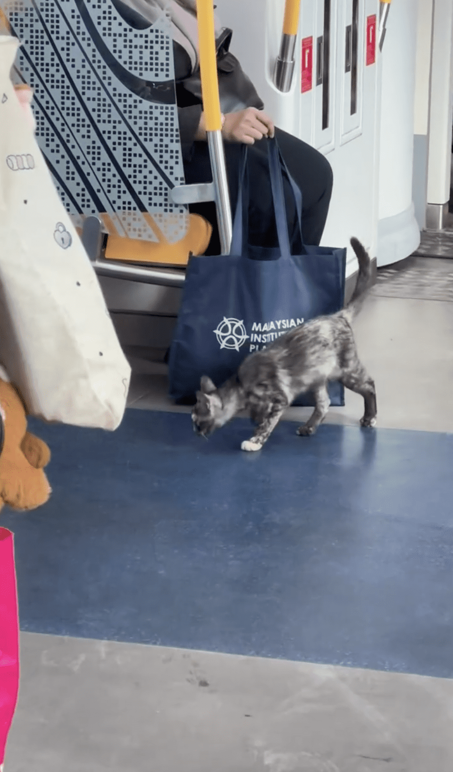 MRT Cat 03