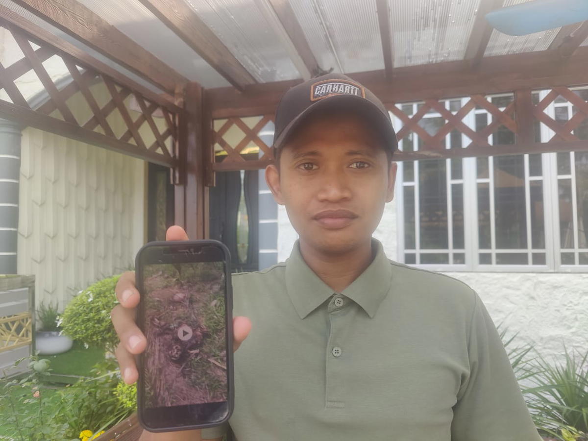 msian discovers human skeleton oil palm plantation