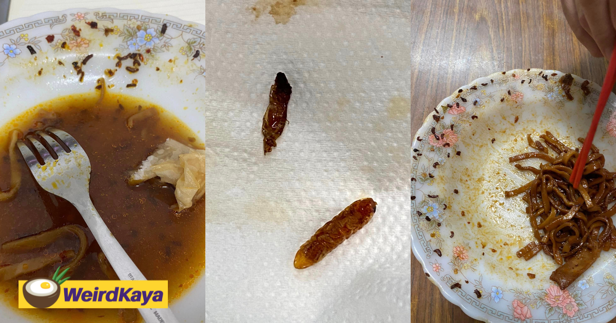 M'sian family horrified to find tiny worms inside noodles bought from johor stall | weirdkaya